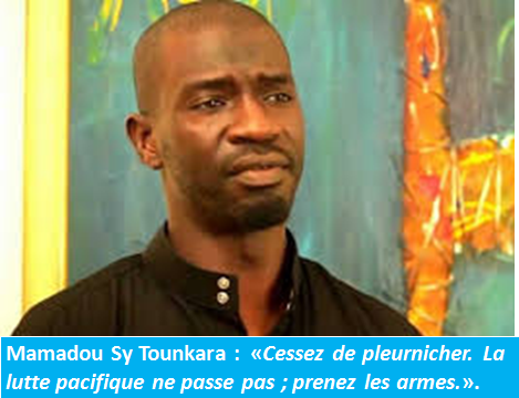 Un intellectuel sénégalais appelle à une guerre civile en Mauritanie !