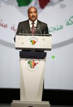 Le président mauritanien Mohamed Ould Abdel Aziz prenat la parole pendant la séance d'ouverture du 3ème sommet Inde/Afrique